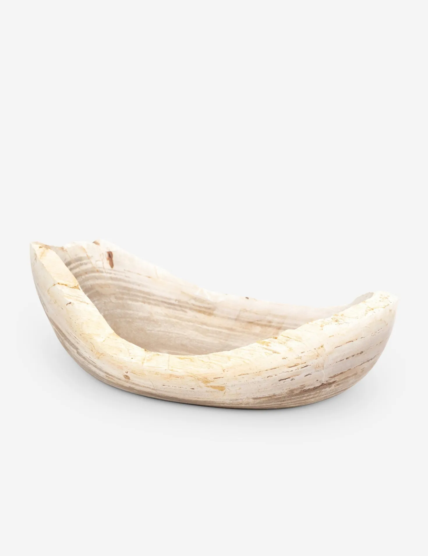 Noki Petrified Wood Bowl