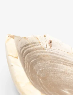 Noki Petrified Wood Bowl