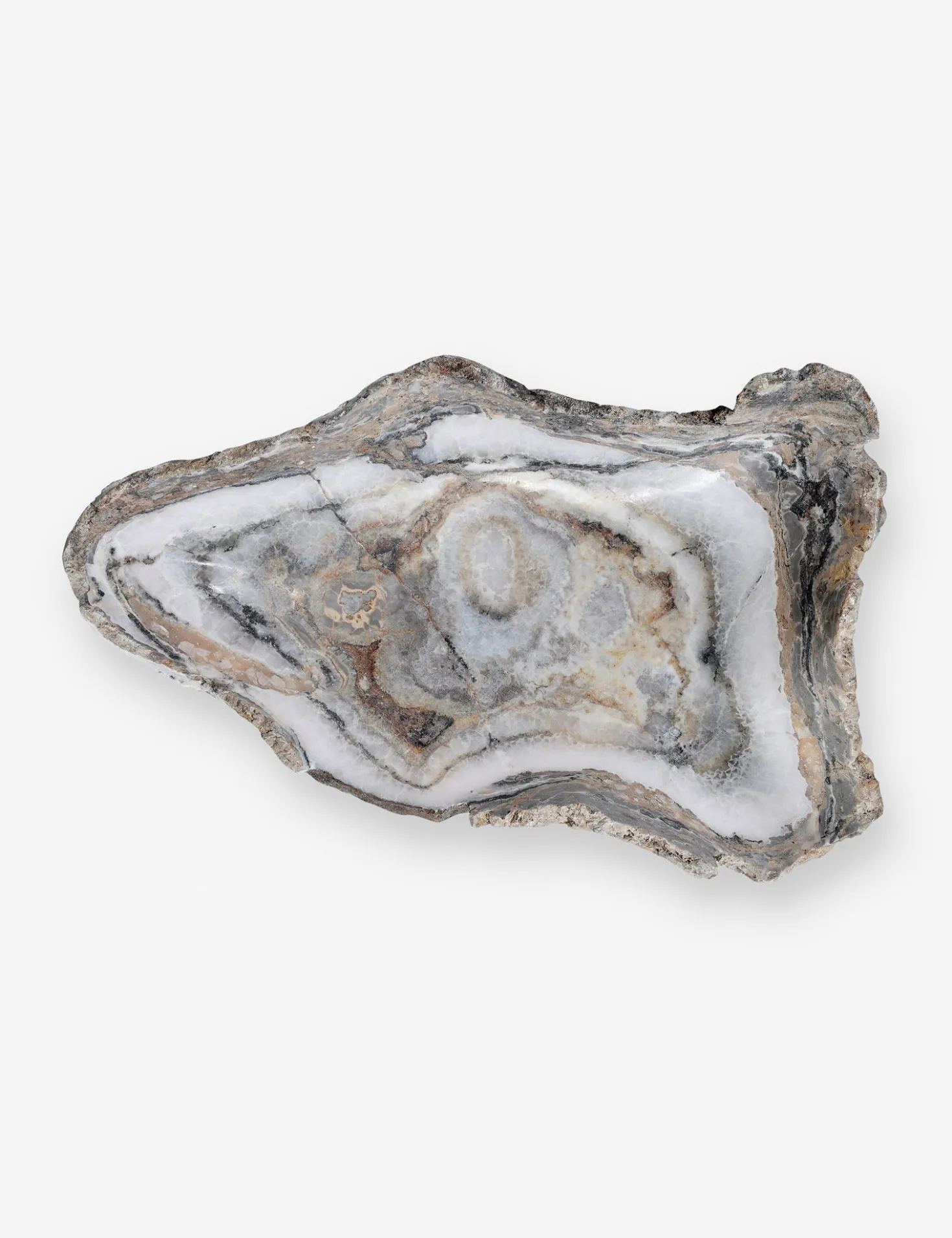 Noki Petrified Wood Bowl