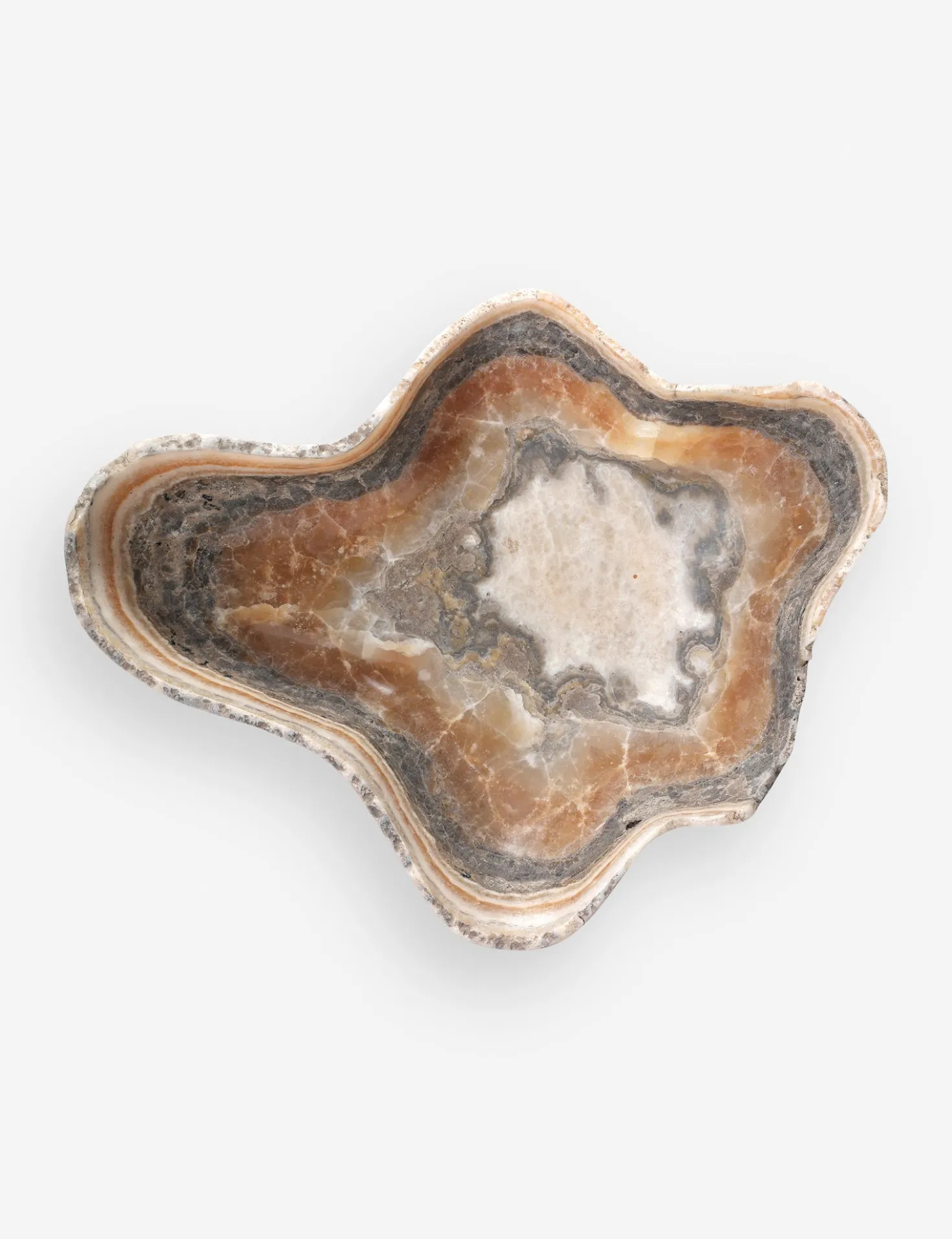 Noki Petrified Wood Bowl