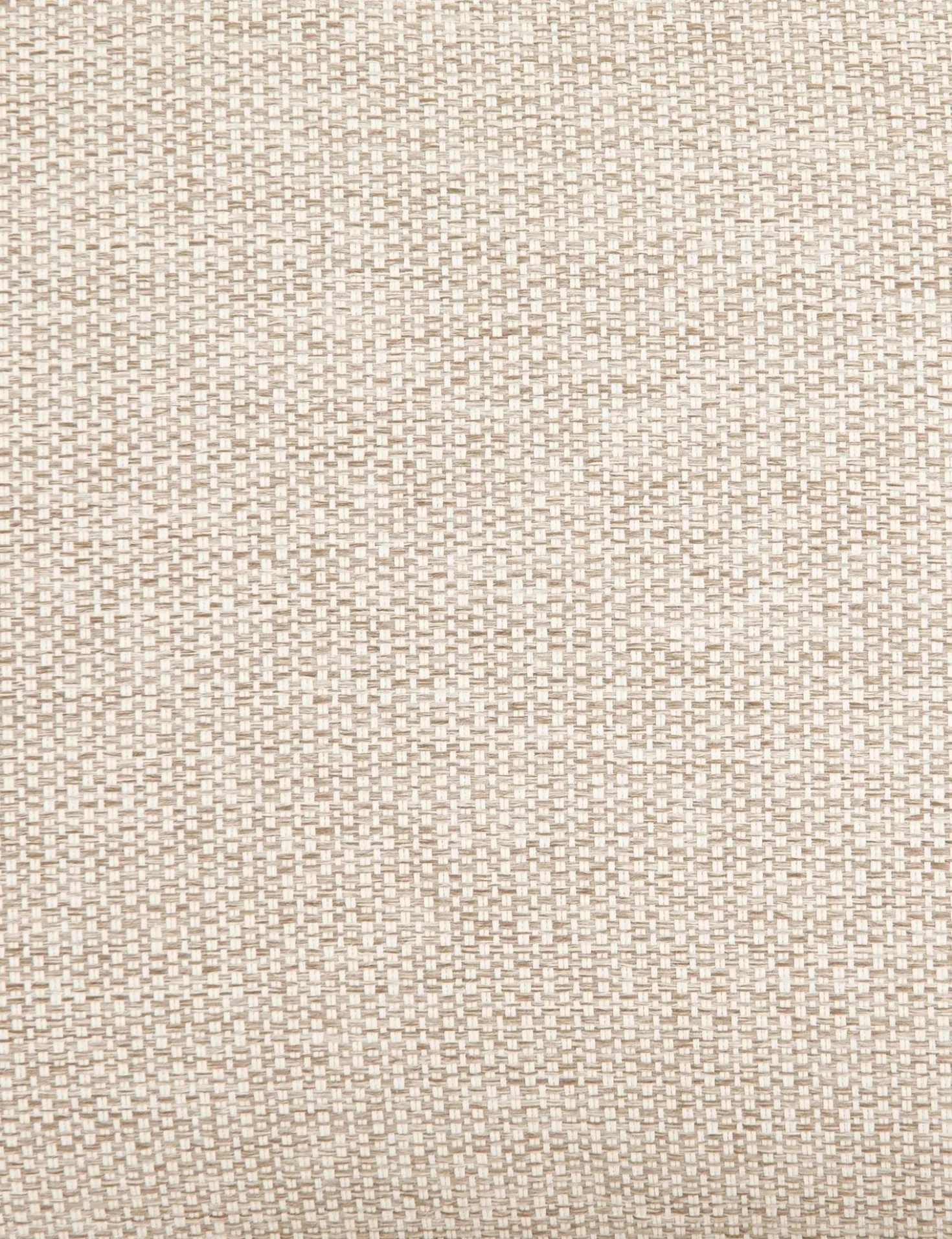 Nunelle Indoor / Outdoor Accent Chair