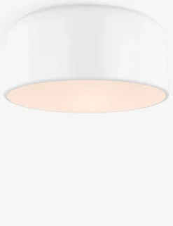 Olaf Flush Mount Light