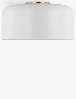 Olaf Flush Mount Light