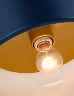Olaf Flush Mount Light