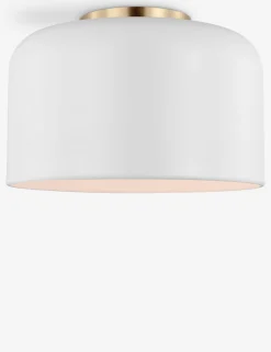 Olaf Flush Mount Light