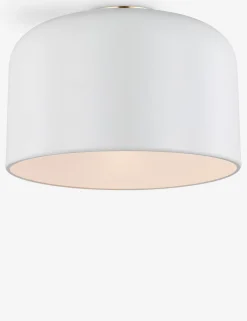 Olaf Flush Mount Light