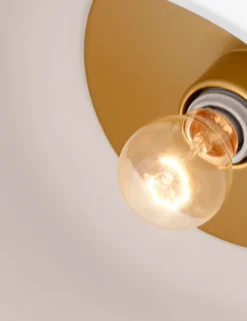 Olaf Flush Mount Light