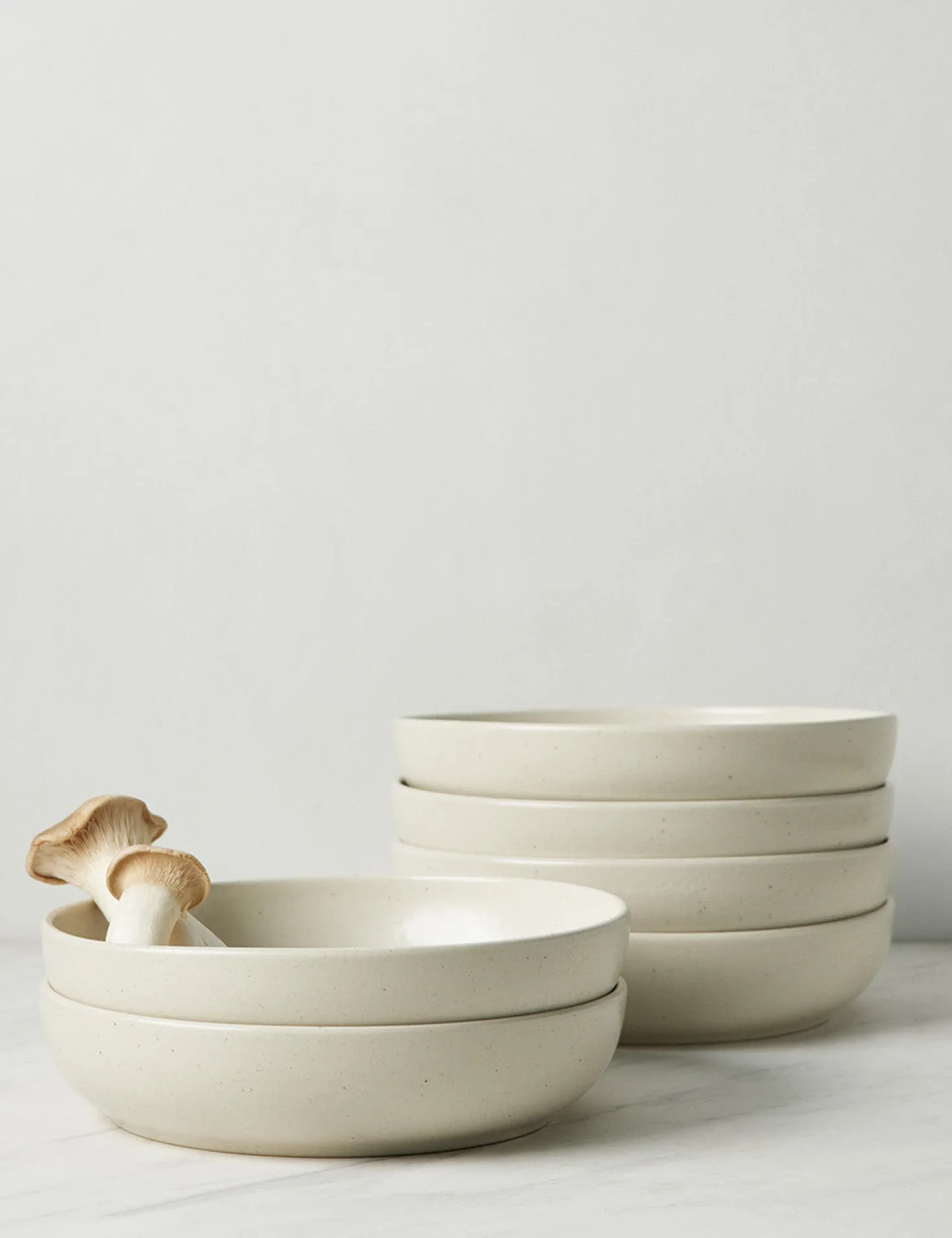 Pacifica Stoneware Dinnerware by Casafina