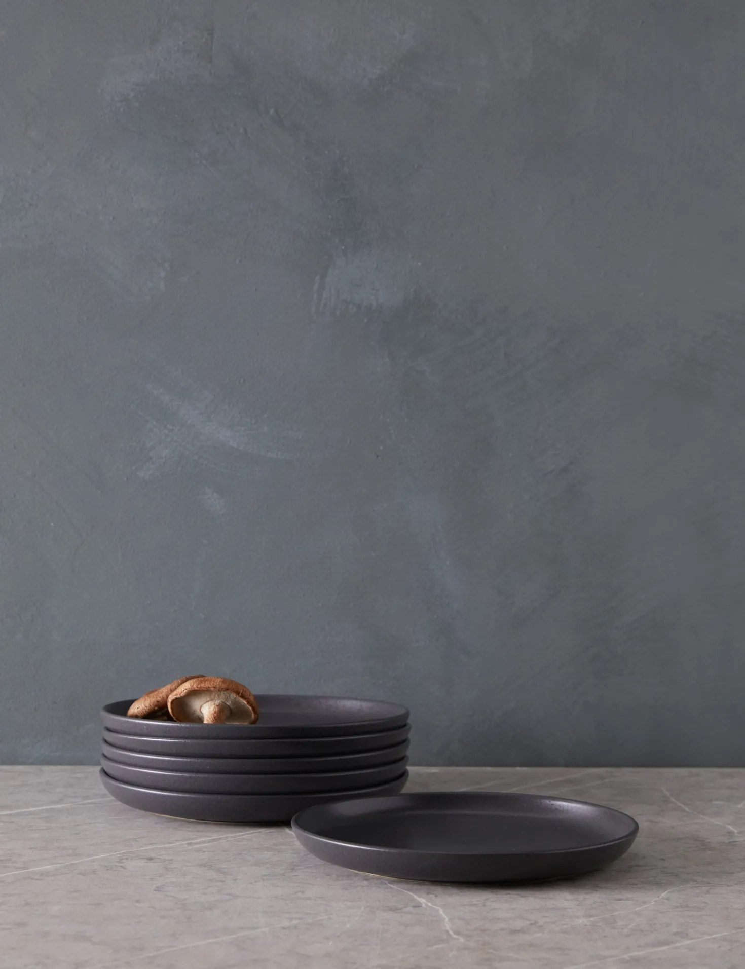 Pacifica Stoneware Dinnerware by Casafina