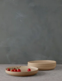 Pacifica Stoneware Dinnerware by Casafina