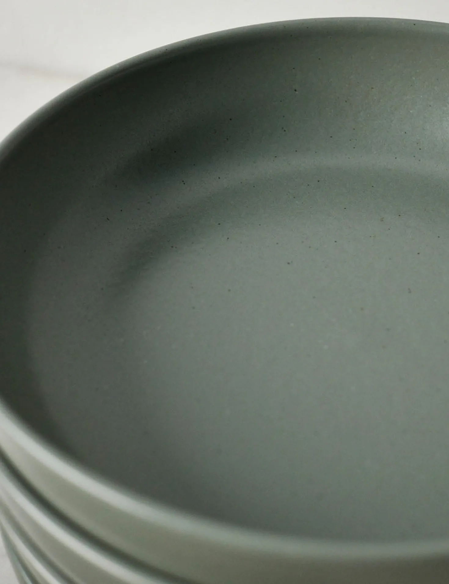 Pacifica Stoneware Dinnerware by Casafina