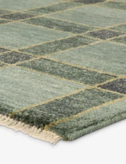 Pavez Hand-Knotted Wool Rug
