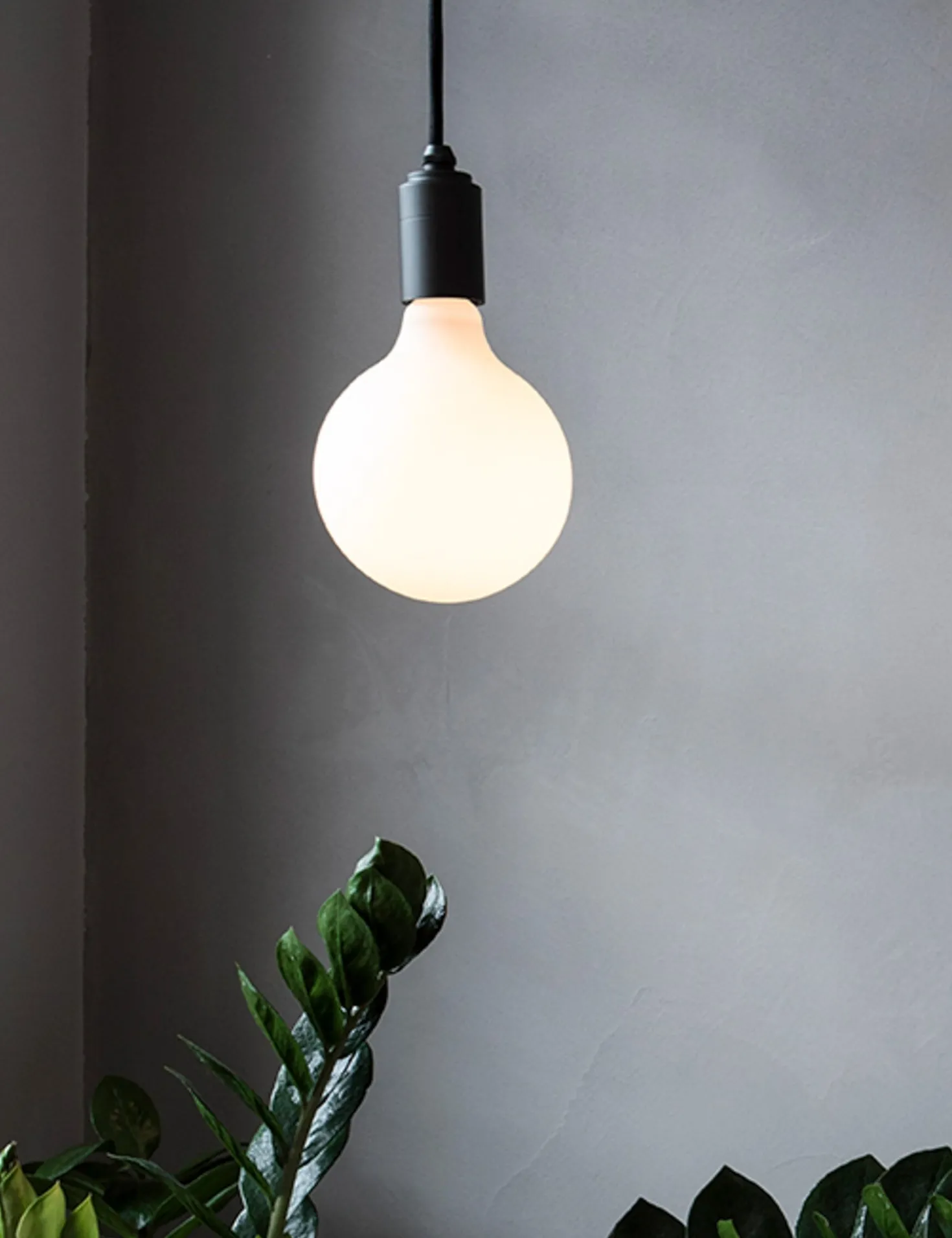 Porcelain III 6W LED Bulb (Set of 2) by Tala