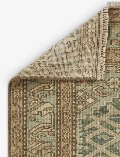 Ramina Hand-Knotted Wool Rug