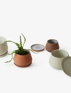 Rancho Ceramic Indoor / Outdoor Planter by LBE Design