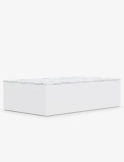 Romero Indoor / Outdoor Coffee Table