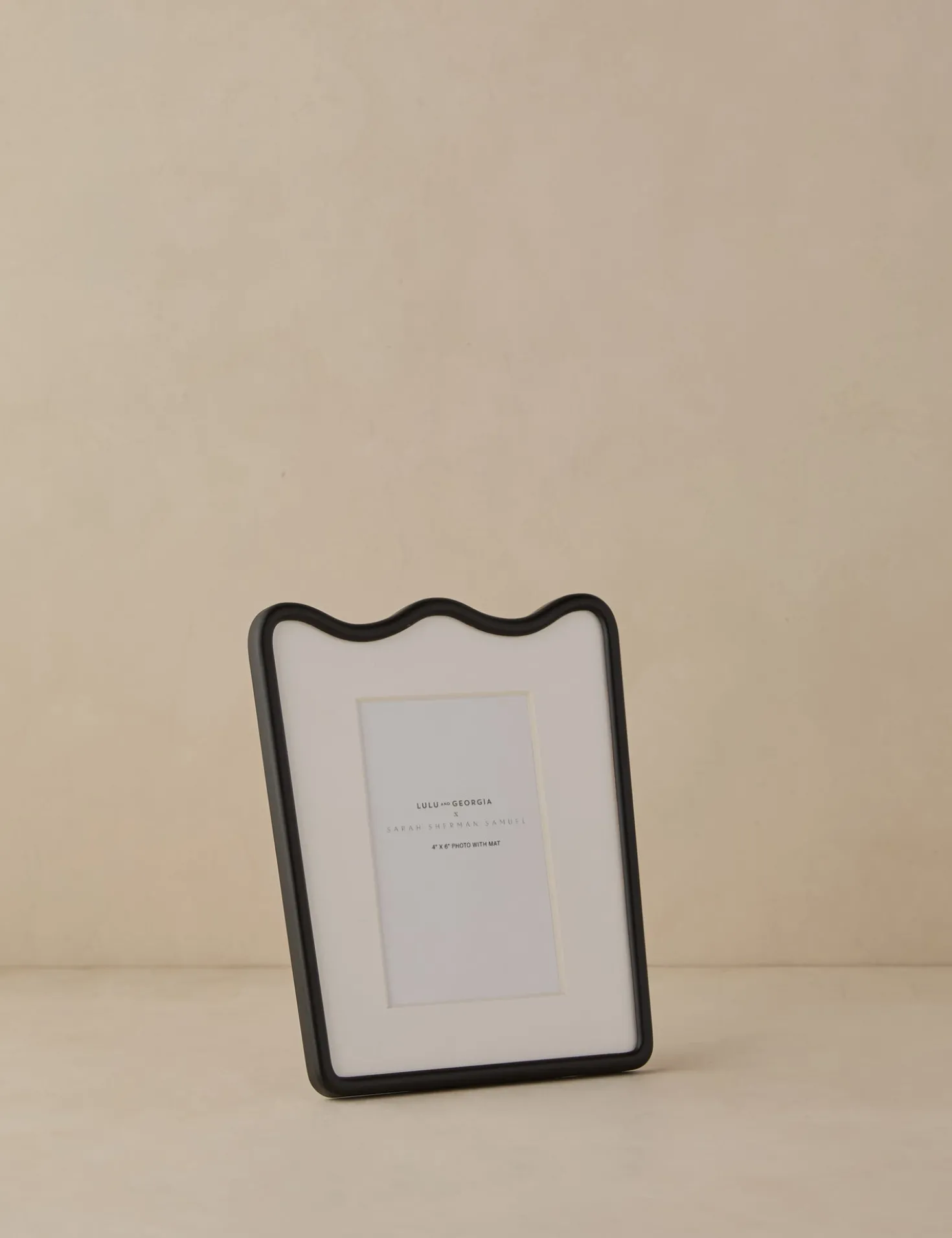 Rook Picture Frame by Sarah Sherman Samuel
