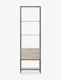 Rosamonde Bookcase