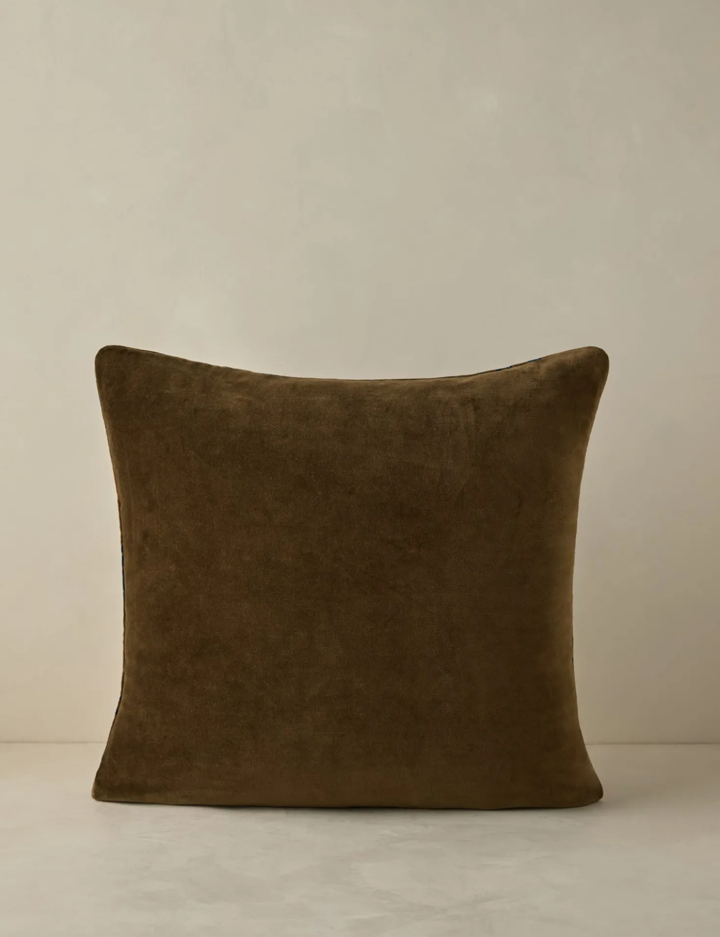 Royce Velvet Pillow