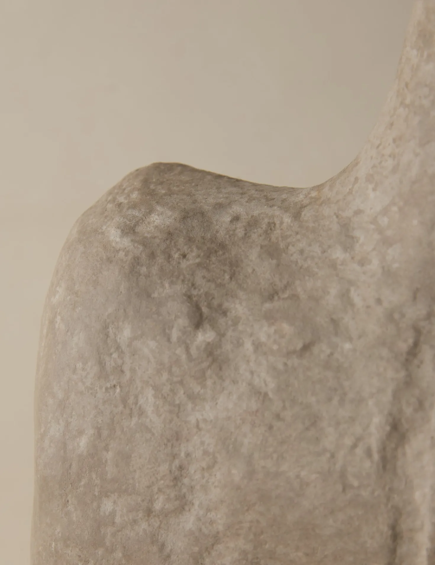 Sina Decorative Vase
