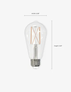 ST18 LED Filament Bulb (Set of 2)
