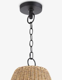 Summer Outdoor Pendant Light by Regina Andrew