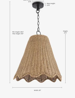 Summer Outdoor Pendant Light by Regina Andrew