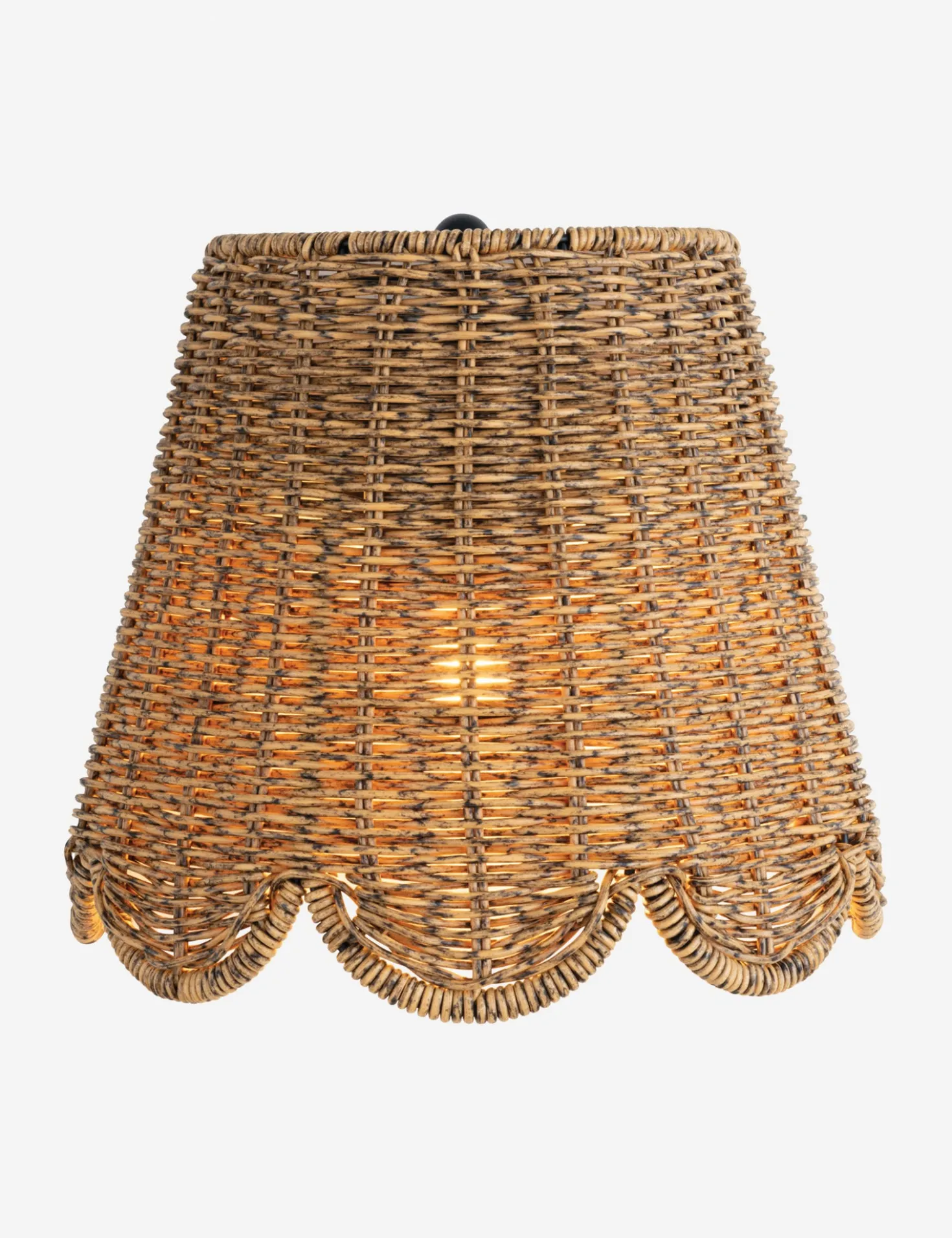 Summer Outdoor Sconce by Regina Andrew