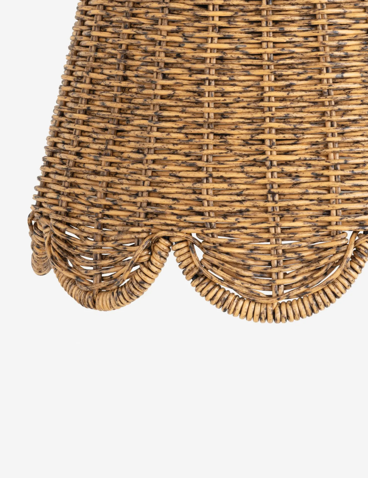 Summer Outdoor Sconce by Regina Andrew