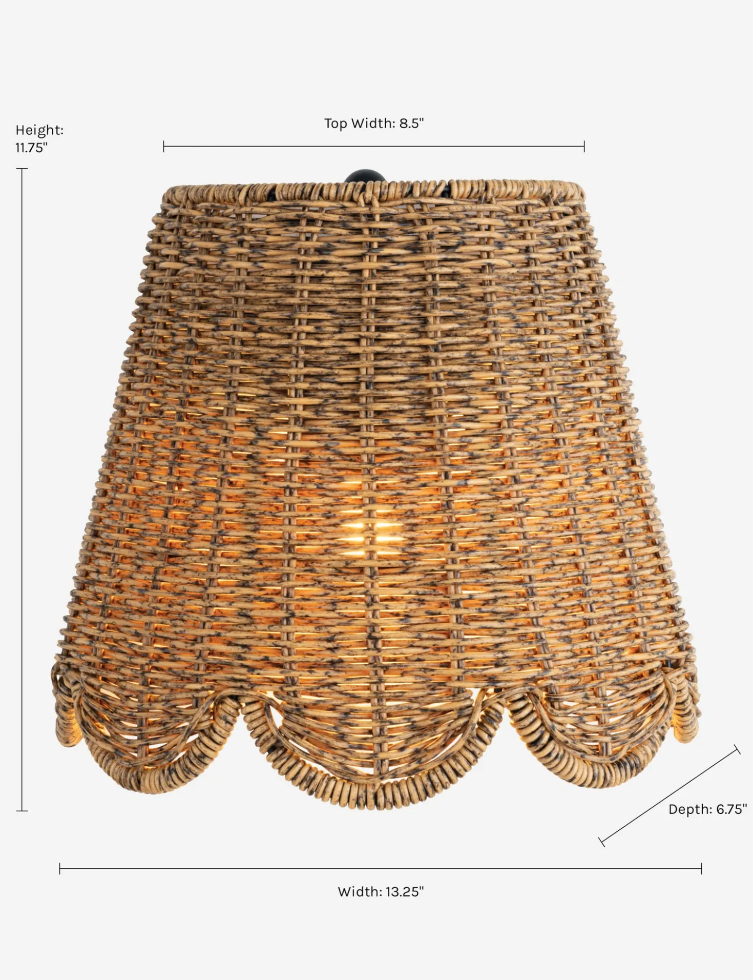 Summer Outdoor Sconce by Regina Andrew