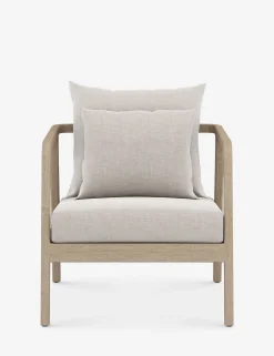Tirado Indoor / Outdoor Accent Chair