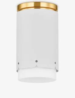 Trenet Flush Mount Light