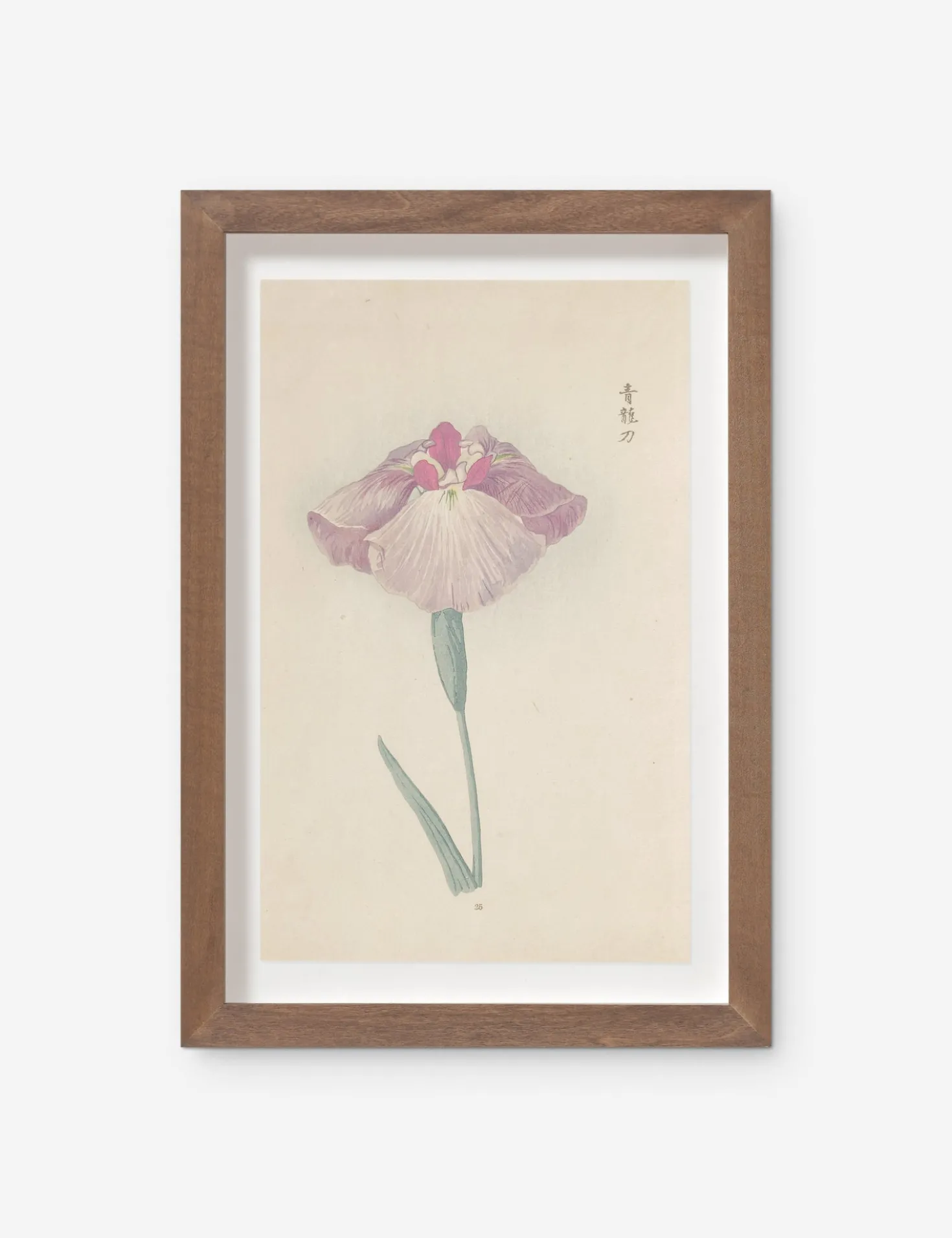 Vintage Japanese Iris No. 25 Wall Art by Miyoshi Manabu