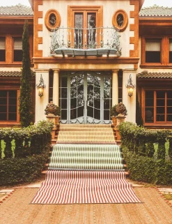 Volante Indoor / Outdoor Rug