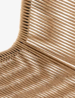 Wally Indoor / Outdoor Dining Chair