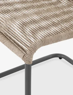 Wally Indoor / Outdoor Dining Chair