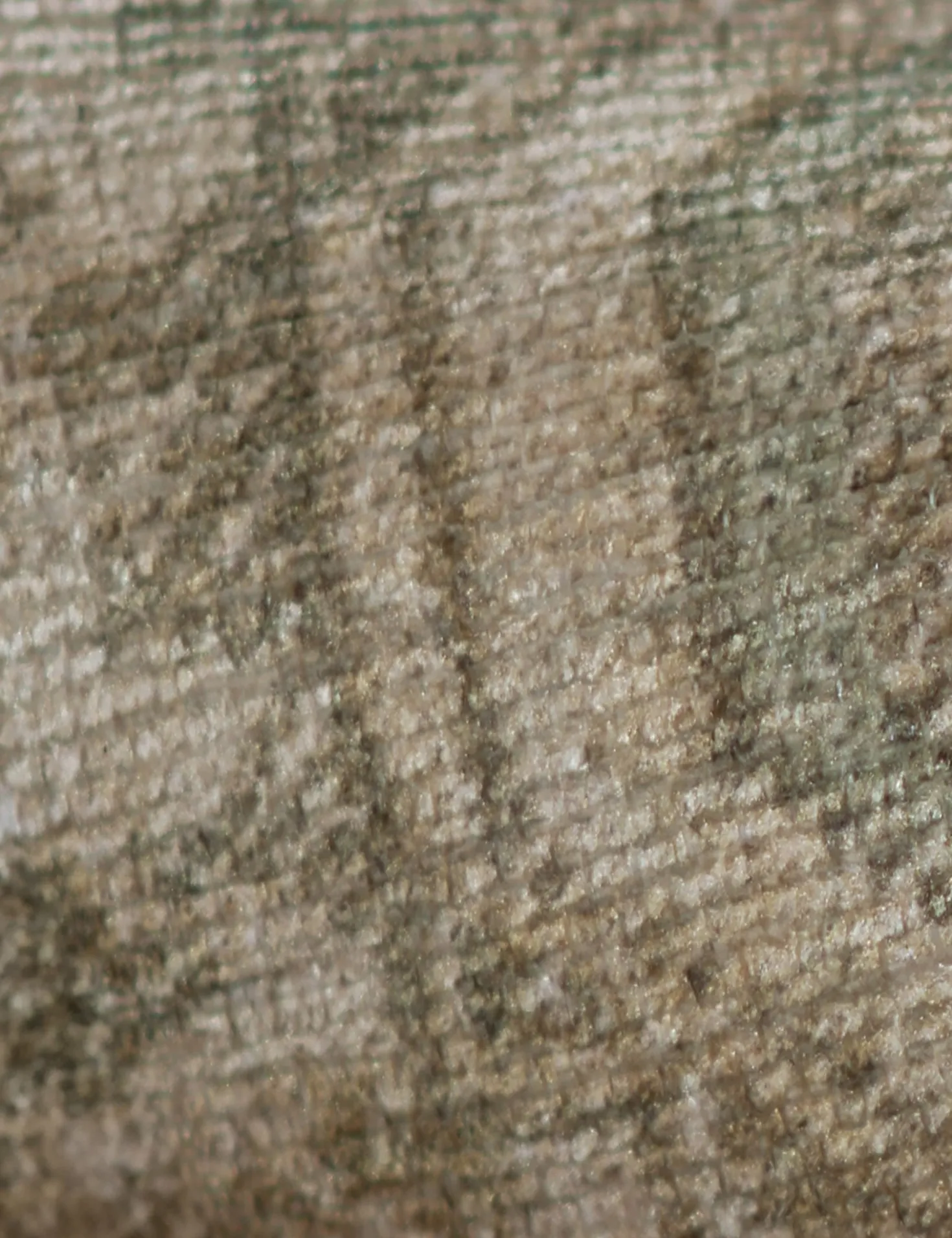 Warren Rug by Erin Gates
