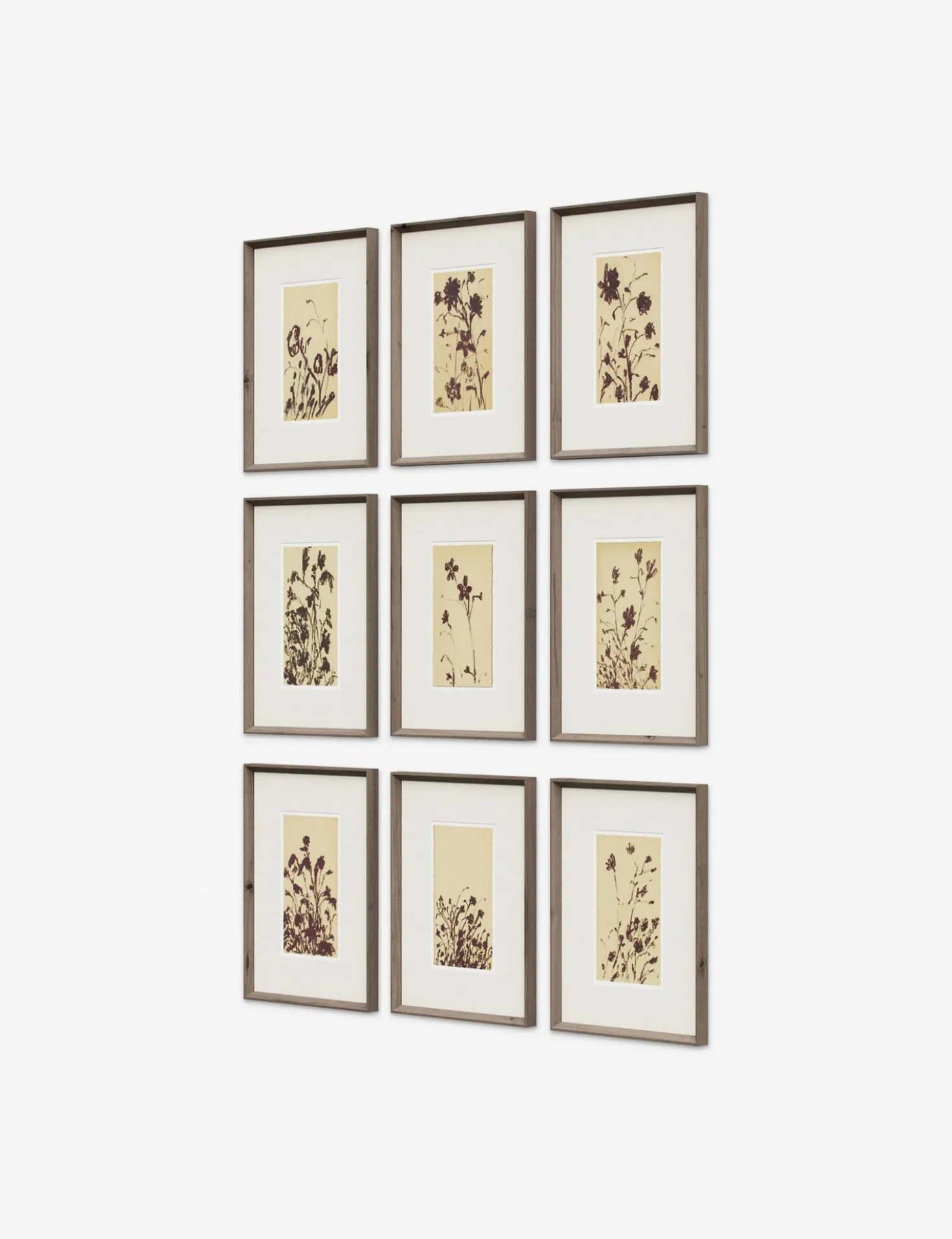 Wild Blooms Wall Art (Set of 9) by Shaina Page