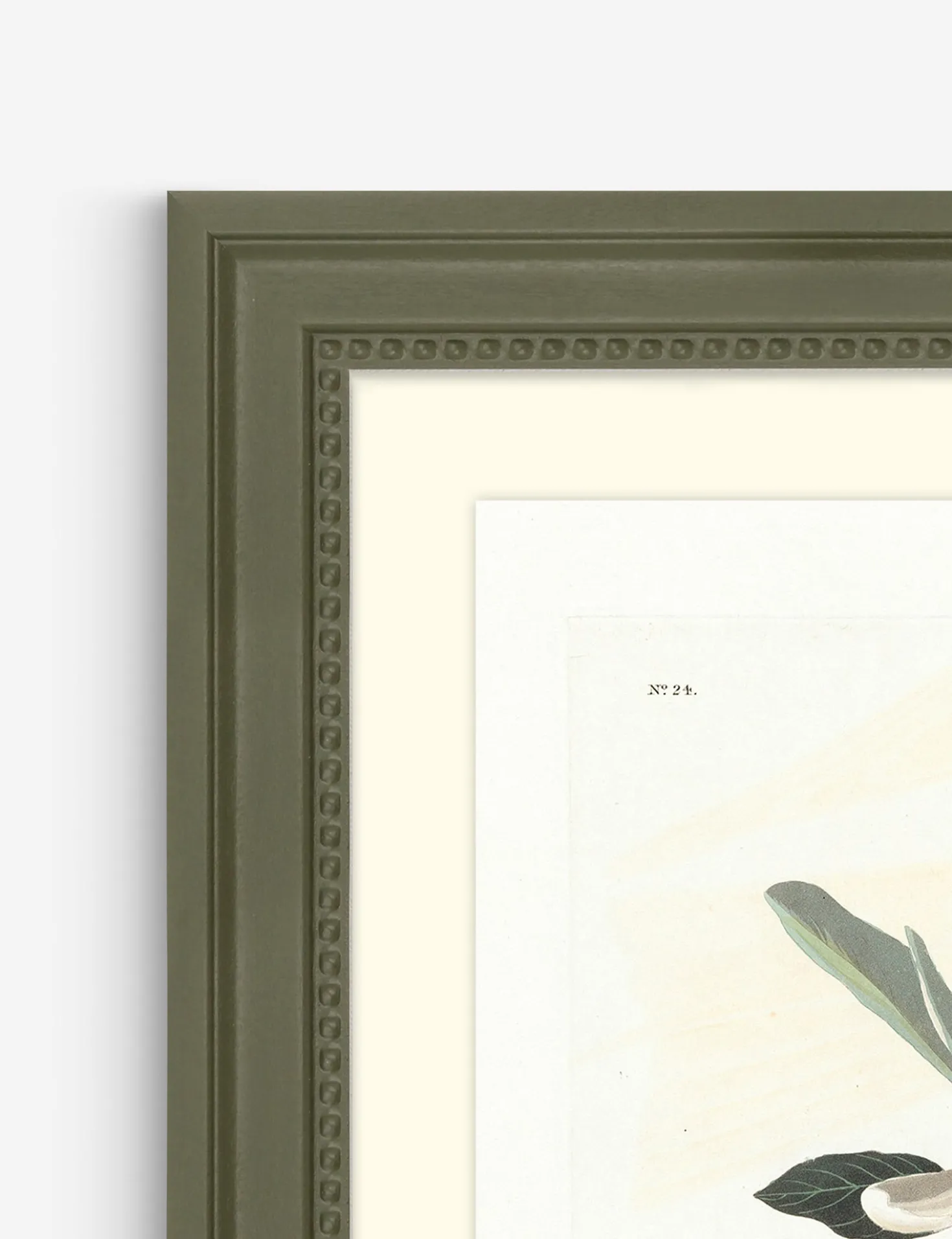 Wings of the Wild II Wall Art by Alex Zane