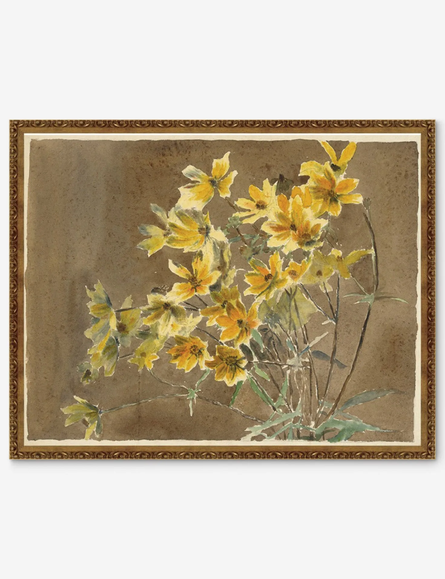 Yellow/Orange Flower with Border Print by Hannah Borger Overbeck