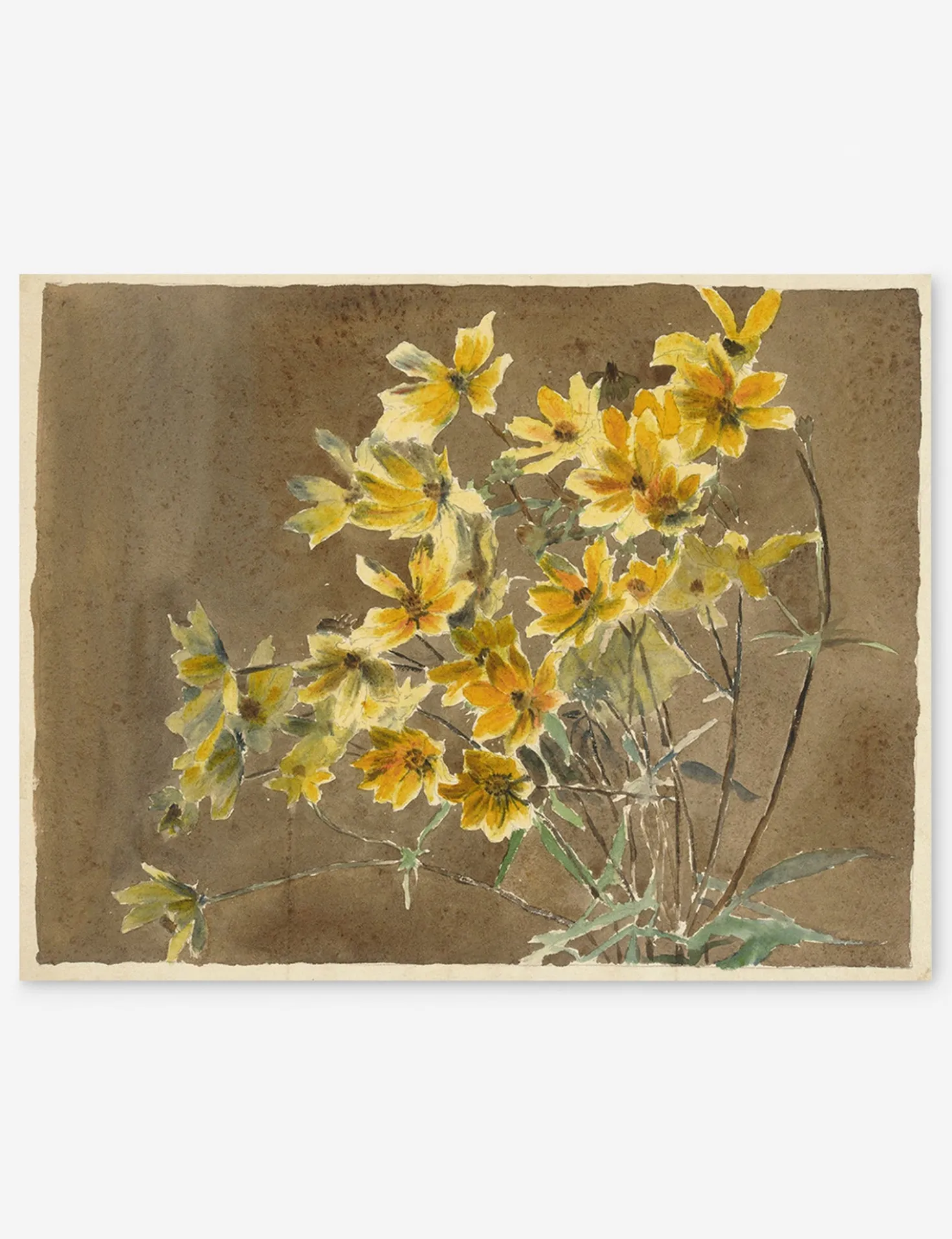 Yellow/Orange Flower with Border Print by Hannah Borger Overbeck